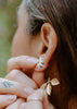 Gilded Garden: Poinsettia Flower Studs with Gold Leaf Jacket - 3-in-1 Versatility for The Holidays - Daily Magic