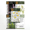 Herbal Tea Garden Collection Gift Tin - Daily Magic