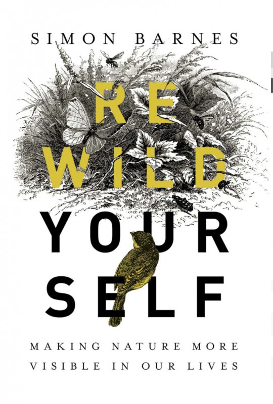 Rewild Yourself: Making Nature More Visible in our Lives - Daily Magic